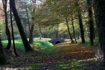 Petit pont