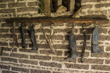 Elements of stable cavalry