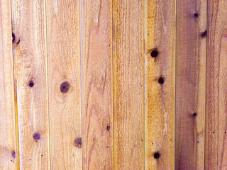 Wood Texture