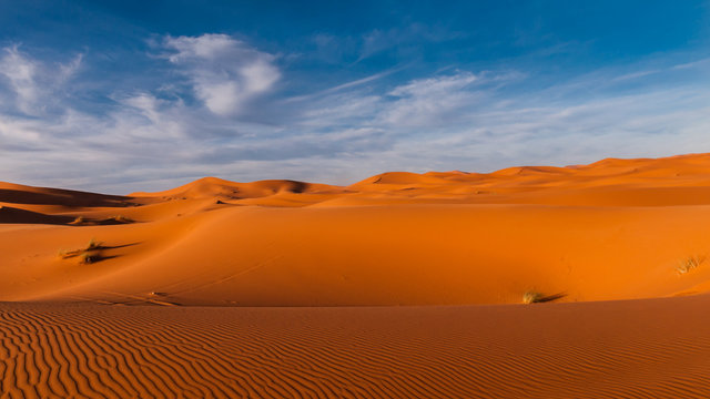 Abendstimmung über den Dünen der Sahara bei Merzouga (Erg Chebbi); Marokko