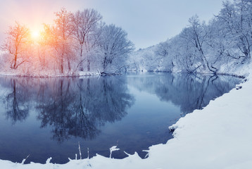Naklejka premium Winter forest on the river at sunset. Panoramic landscape with snowy trees, sun, beautiful frozen river with reflection in water. Seasonal. Winter trees, lake and blue sky. Frosty snowy river. Weather