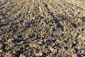 Ground Texture. View of a Dark Surface