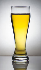 Glass of beer