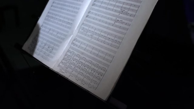 View of conductor beats tact with his stick