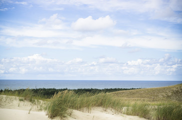View of Dead Dunes, Nida, Klaipeda, Lithuania.