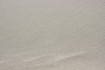 Sand texture. Sandy beach for background