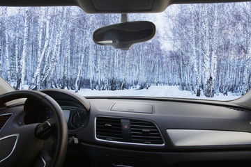 winter forest in the cabin cars