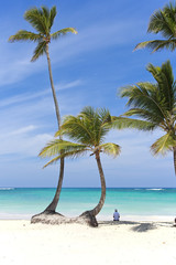 Relaxing on the beach under a palm tree