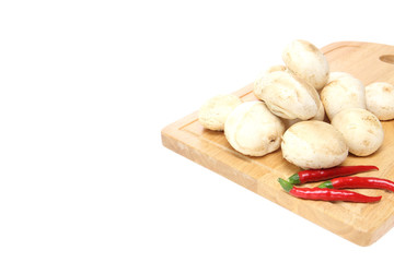 マッシュルーム