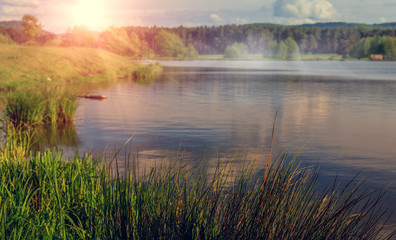 beautiful background. coastal grass on blurred background forest lake in the mountains. illuminates the sun. Unusual and picturesque scene. as background