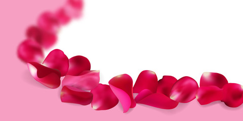 Red, pink rose petals background, vector illustration.