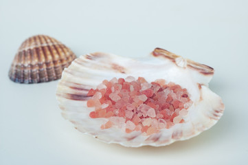 Obraz na płótnie Canvas Pink sea salt in a white sea shell with another shell in the background, closeup
