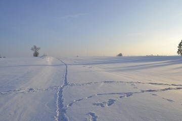Snow in Poland