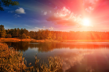 majestic sunset over lake in the forest. breathtaking scenery. fantastic picturesque scene. color in nature. soft light effect. 
