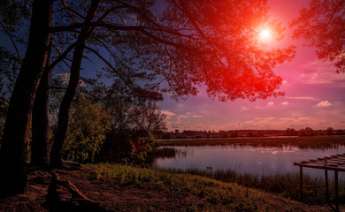 Fototapeta premium wonderful landscape. beautiful sunset on the lake. Sun enlightens the shore and trees. 