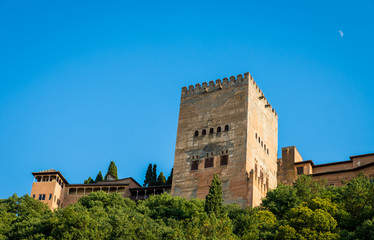 Fototapeta na wymiar Alhambra palace, Granada, Spain