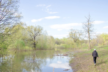 Flooded trees at springtime. Man in a black sports suit on the bank of a pond