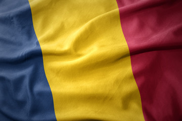 waving colorful flag of chad.
