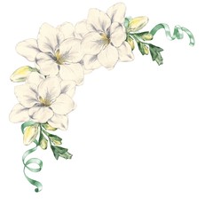 Freesia flower with satin ribbons. Watercolor painting. Hand drawing. Template for design of wedding cards, invitations, posters.