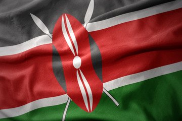 waving colorful flag of kenya.