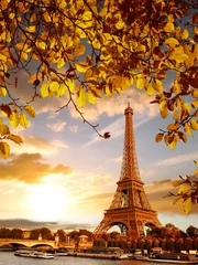 Fototapete Rund Eiffelturm mit Herbstlaub in Paris, Frankreich © Tomas Marek