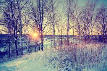 Winter sunny sunset landscape with trees and wooden bench on the hill above city in Sweden, north scandinavian seasonal hipster background.