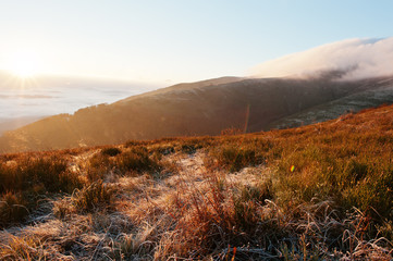Obraz premium Amazing picturesque landscape of Carpathian mountains on fog and