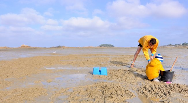 Un p&egrave;re et son fils ramassent des coques dans le sable &agrave; mar&eacute;e basse en Bretagne &agrave; Bugu&eacute;l&egrave;s