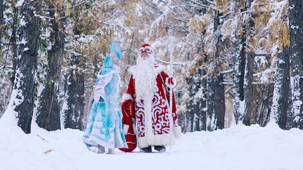 Happy man and woman wearing New Year costumes walking in snow-covered forest - Powered by Adobe