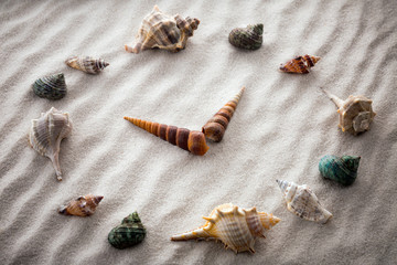 Stylized dial clock for shells on the sand for concentration and relaxation for harmony and balance in pure simplicity - macro lens shot