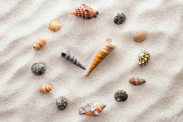 Stylized dial clock for shells on the sand for concentration and relaxation for harmony and balance in pure simplicity - macro lens shot