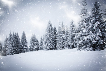 Fototapeta premium snowy winter landscape