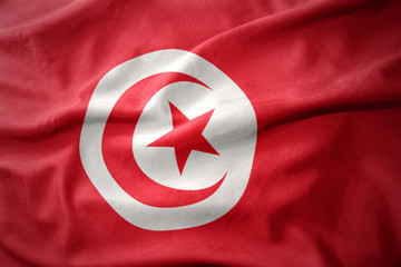 waving colorful flag of tunisia.