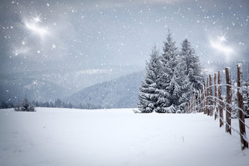 snowy winter landscape