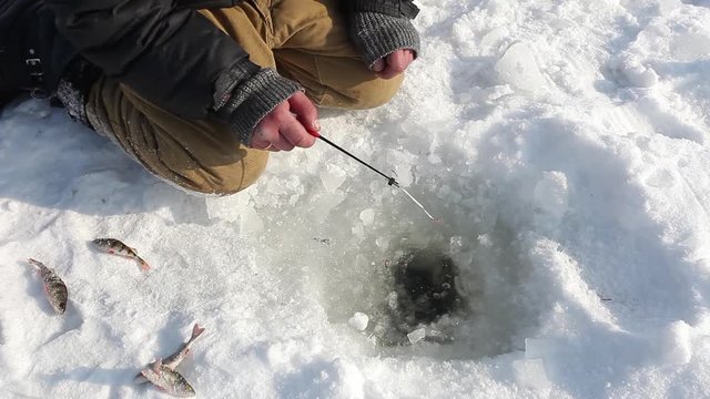 Fishermen catches a fish near hole in the winter river.