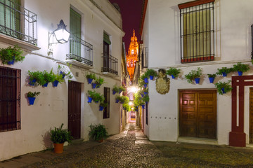 Flowers in flowerpot on the white walls on famous Flower street Calleja de las Flores in old Jewish quarter of Cordoba and Bell Tower Mezquita at night, Andalusia, Spain
