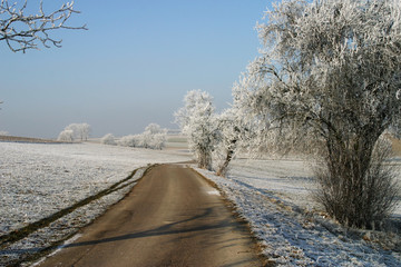 Weg im Winter