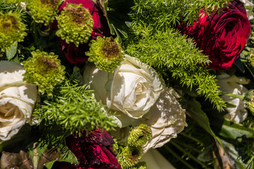 White and red roses