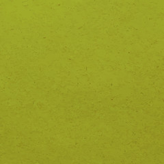 Green paper texture or background - Vector
