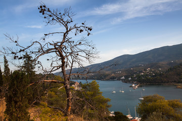 Landscape on the island of Poros, Aegean sea, Greece.