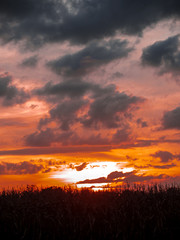 Sunset on the countryside