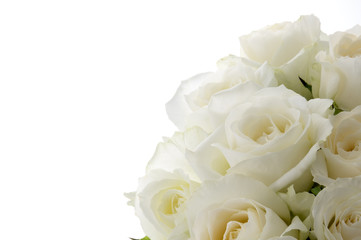 クリーム色の薔薇