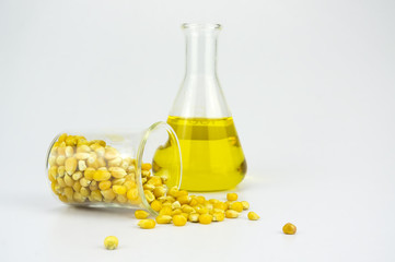 Corn generated ethanol bio-fuel with test tubes on white background-Agriculture concept