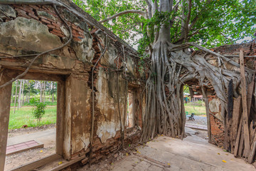 Fototapeta na wymiar Unseen Thailand, Ruins of old temple with a Bodhi tree root, Wat Sang Kra Tai, Angthong, Thailand (Public property)