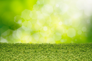 Fototapeta premium Green grass abstract natural background.