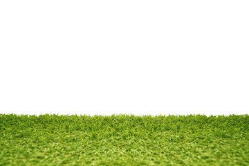 Green grass isolated on white background.