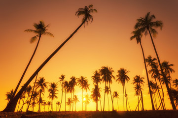 Summer holiday concept - Dramatic stunning morning light sunset and Silhouetted of coconut tree in low light photography 