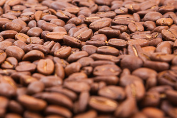 coffee  bean  on white paper  background