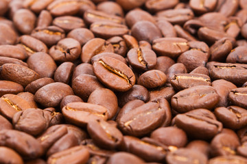 coffee  bean  on white paper  background