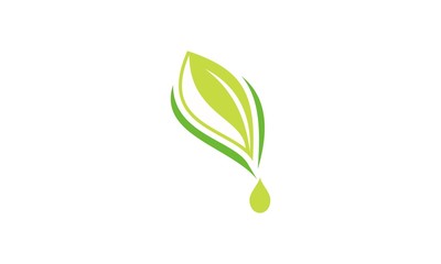 Natural product logo design vector template. Leaf